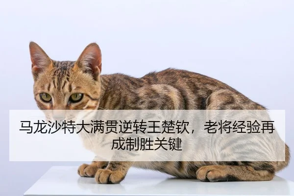 ma-long-sha-te-da-man-guan-ni-zhuan-wang-chu-qin-lao-jiang-jing-yan-zai-cheng-zhi-sheng-guan-jian-2-894.jpg