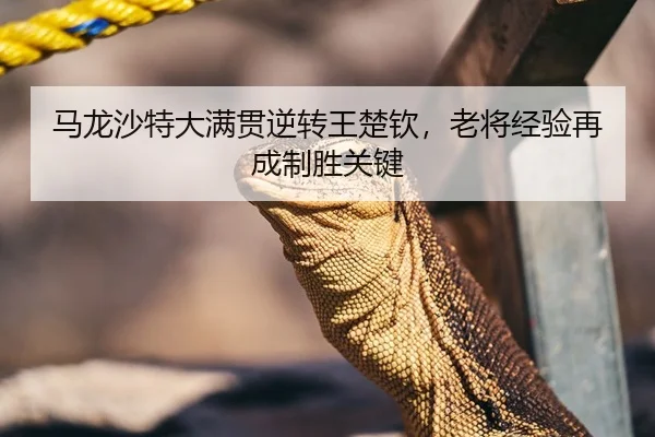 马龙沙特大满贯逆转王楚钦，老将经验再成制胜关键